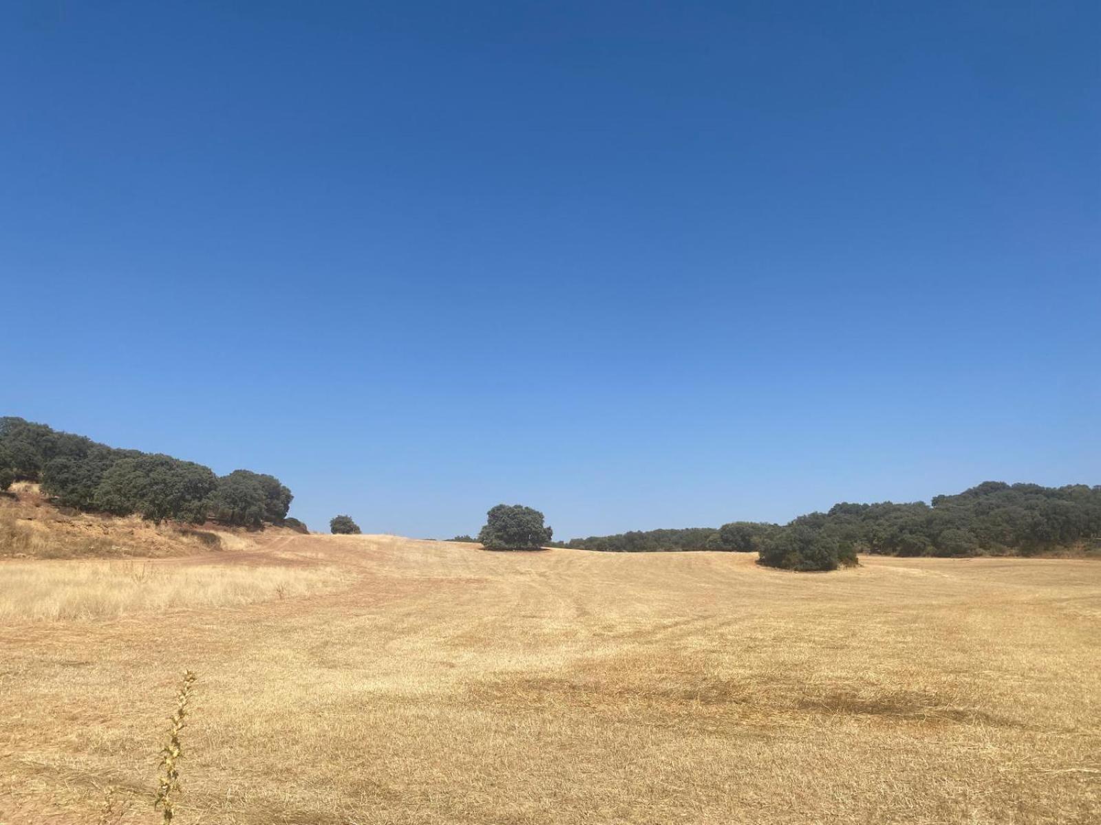 Casa Rural El Contarin - An Andalusian Escape, Archidona, Malaga Ngoại thất bức ảnh