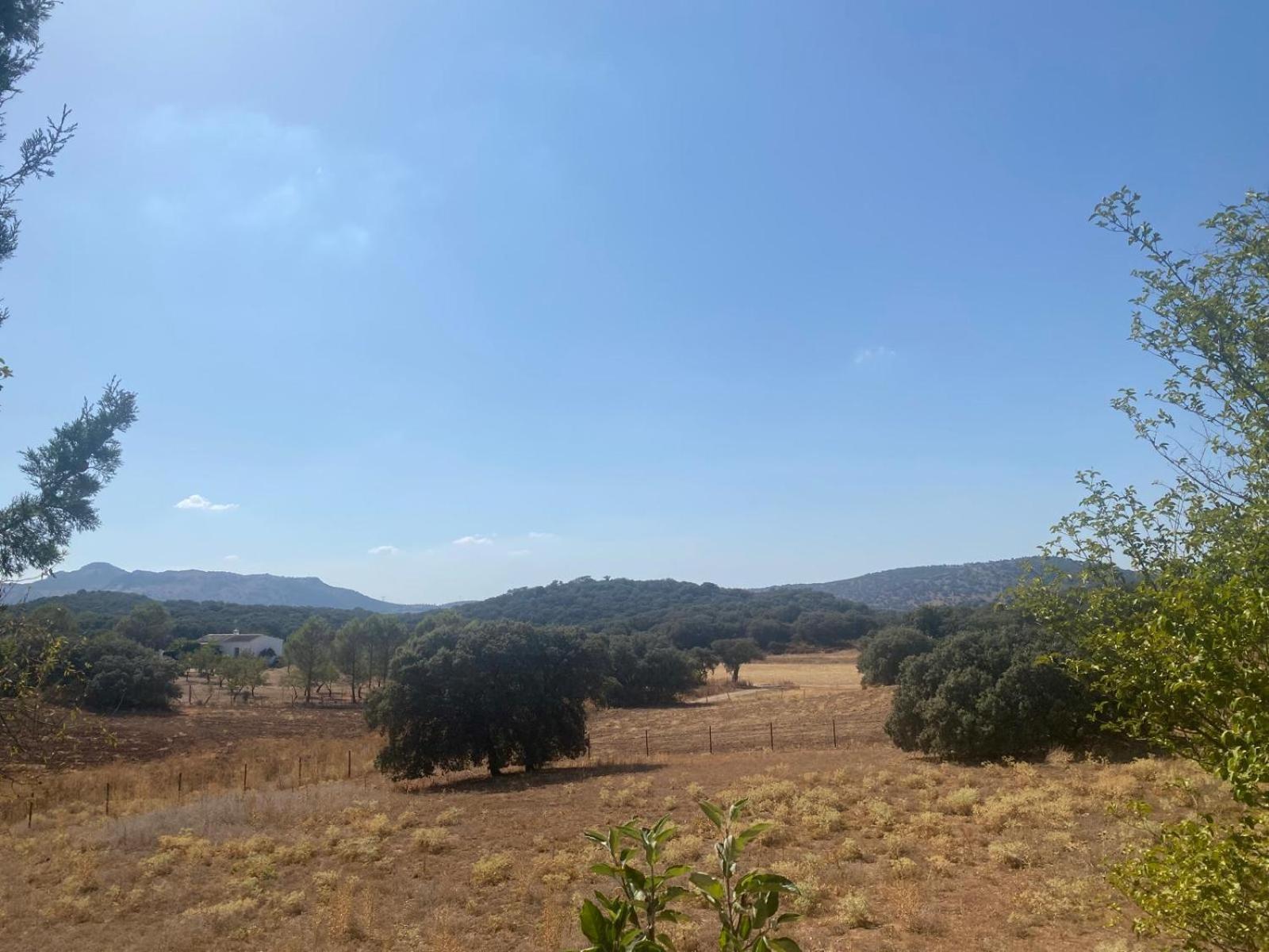 Casa Rural El Contarin - An Andalusian Escape, Archidona, Malaga Ngoại thất bức ảnh