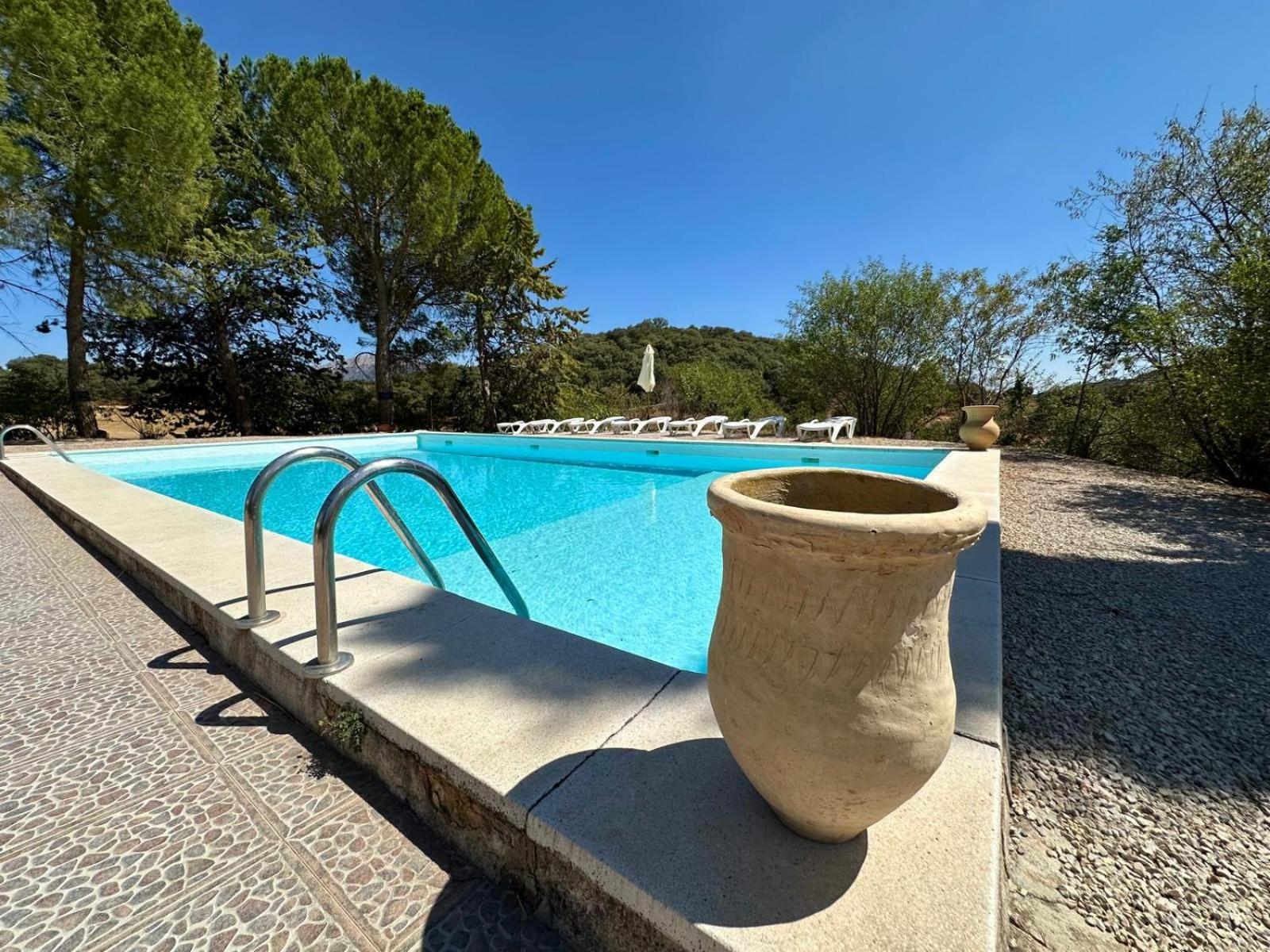 Casa Rural El Contarin - An Andalusian Escape, Archidona, Malaga Ngoại thất bức ảnh