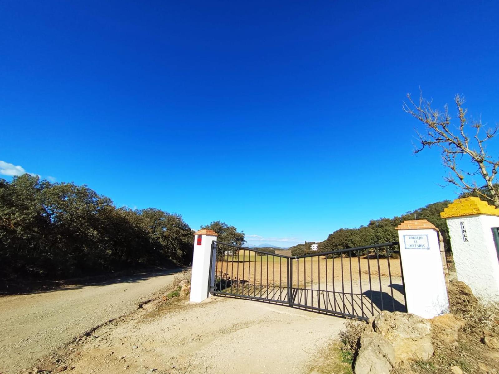 Casa Rural El Contarin - An Andalusian Escape, Archidona, Malaga Ngoại thất bức ảnh